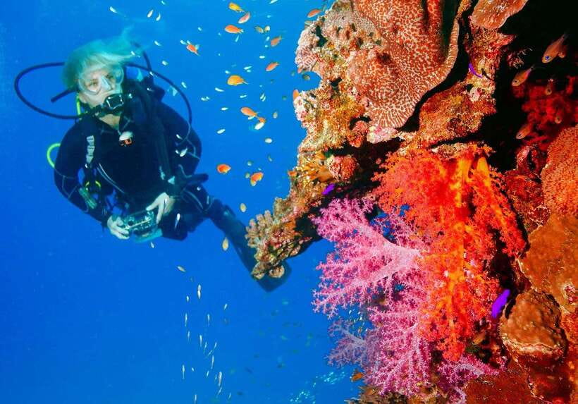 Bohol: Discover Scuba Diving - No Experience Needed - Key points at a glance