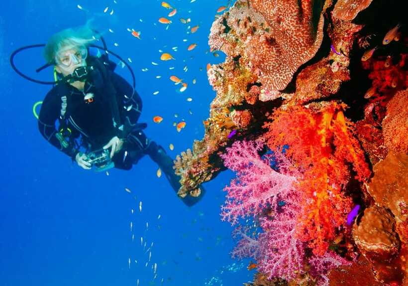 Bohol: Discover Scuba Diving - No Experience Needed - The strongest part: patient guidance for nervous beginners