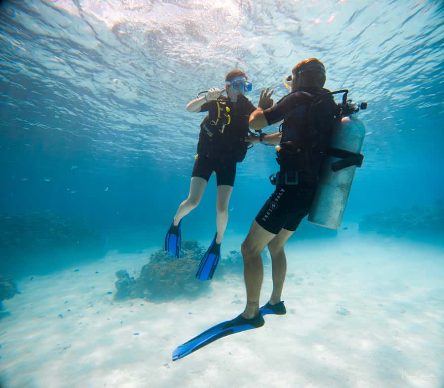 Bora Bora: Introductory Dive - Key points at a glance