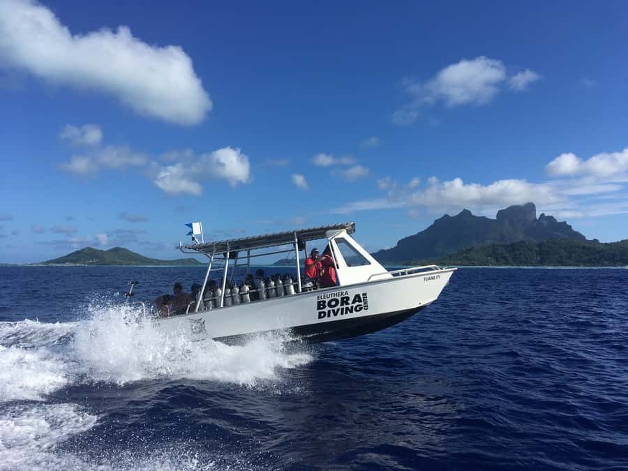 Bora Bora: Morning 2 tank dive for certified divers - Who will enjoy this most
