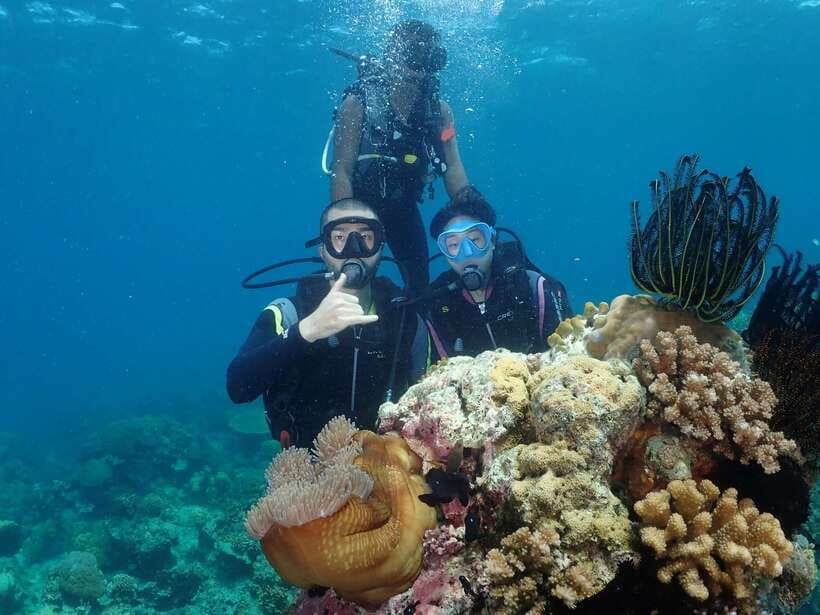 Boracay: Introduction to Scuba Diving Experience - Key points before you book