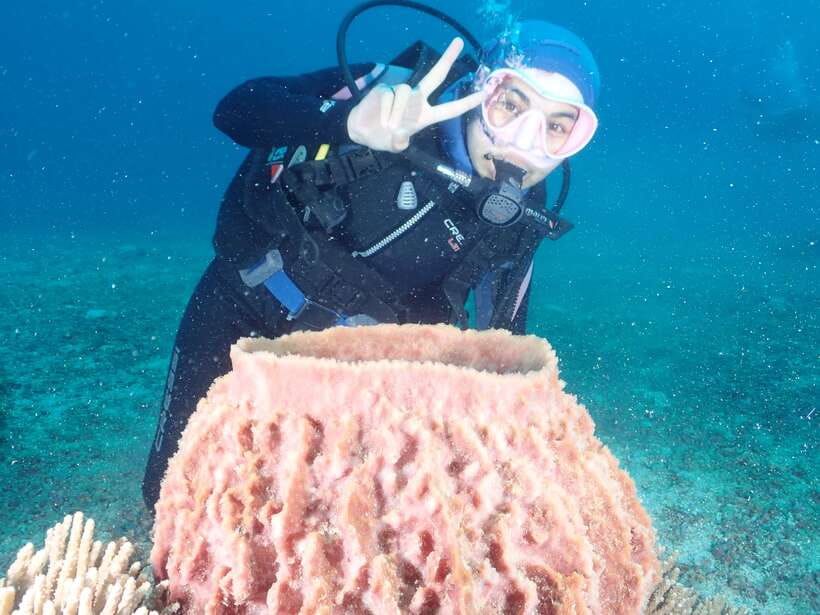 Boracay: Introduction to Scuba Diving Experience - What you are really getting for $50