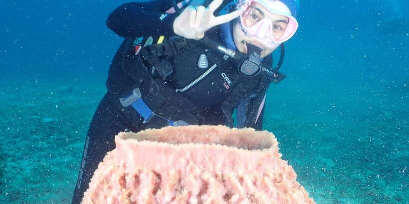 Boracay: Introduction to Scuba Diving Experience - Underwater at about 6 meters