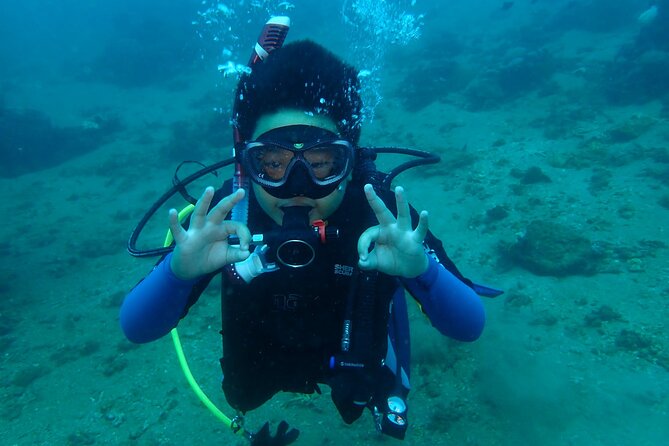 Boracay PADI Discover Scuba Diving - Who Will Enjoy This Most