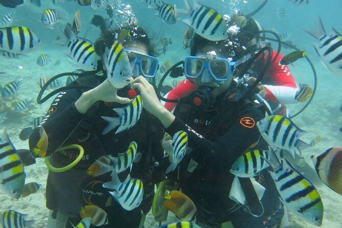 Boracay PADI Discover Scuba Diving - The First Lesson: Safety, Equipment, and Breathing