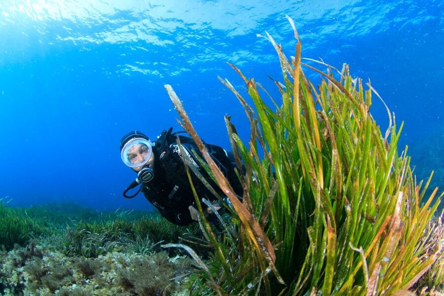 Bosa: Scuba Diving for Beginners in the Bosa Gulf - Your First 6-Meter Descent