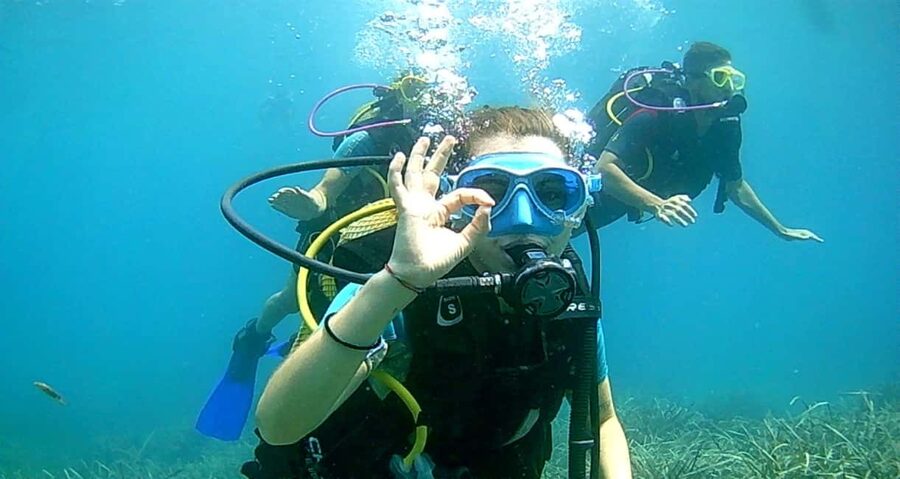 Brindisi: Underwater scuba diving - Starting at Marina di Brindisi, in front of ponton F