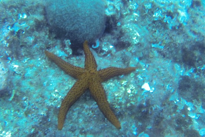 Bubble maker (scuba diving for children) - Why the Private Format Matters