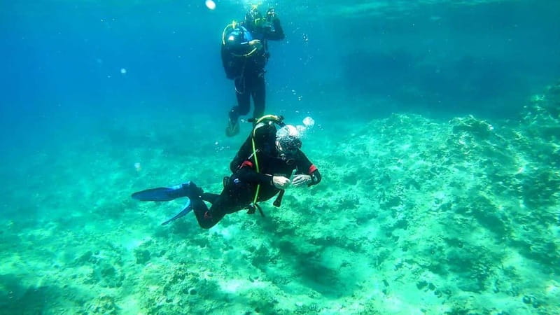 Budva: Scuba Diving Experience - Starting at Gradski Bazen in Budva