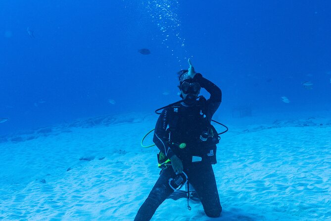 Bull Shark Dive in Playa del Carmen – Dive Machine Experience - Safety, fitness, and the 24-hour flight rule