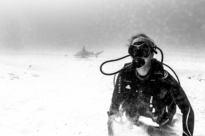 Bull Shark Dive in Playa del Carmen – Dive Machine Experience - Inclusion for people with different abilities