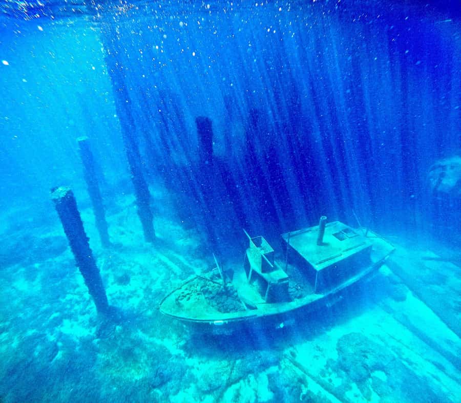 Busselton: Jetty Scuba Dive Tours with Underwater Sculptures - The safety briefing and underwater route