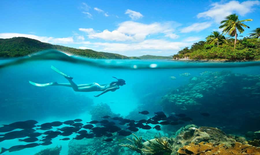 Buzios - DIVING EXPERIENCE - What this Búzios sea experience is really like