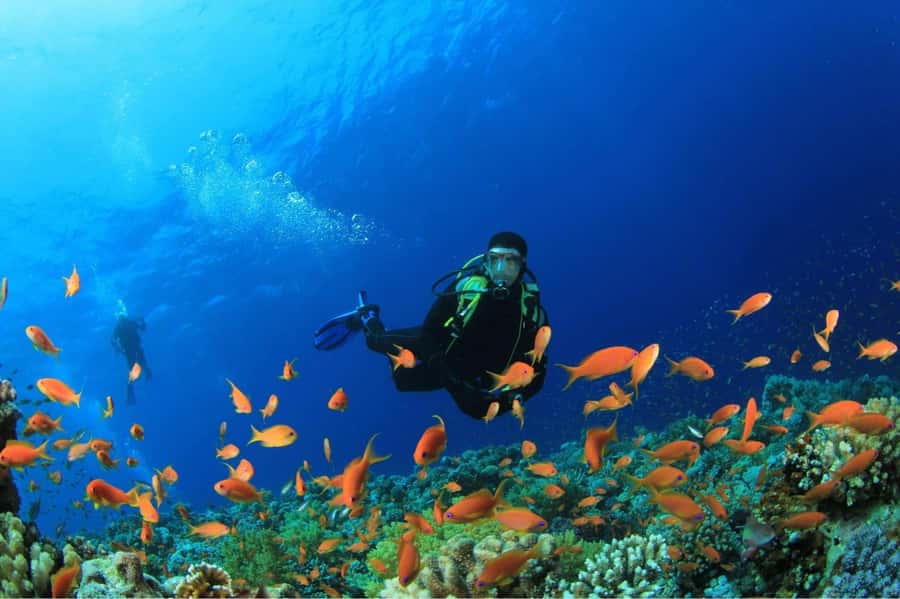 Buzios - DIVING EXPERIENCE - Finding João Fernandinho without taking a wrong turn