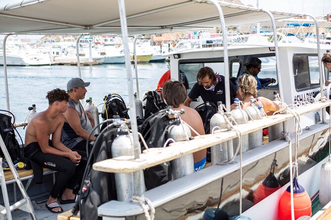 Cabo San Lucas 2 Tank Scuba Diving - Who will get the most from this outing
