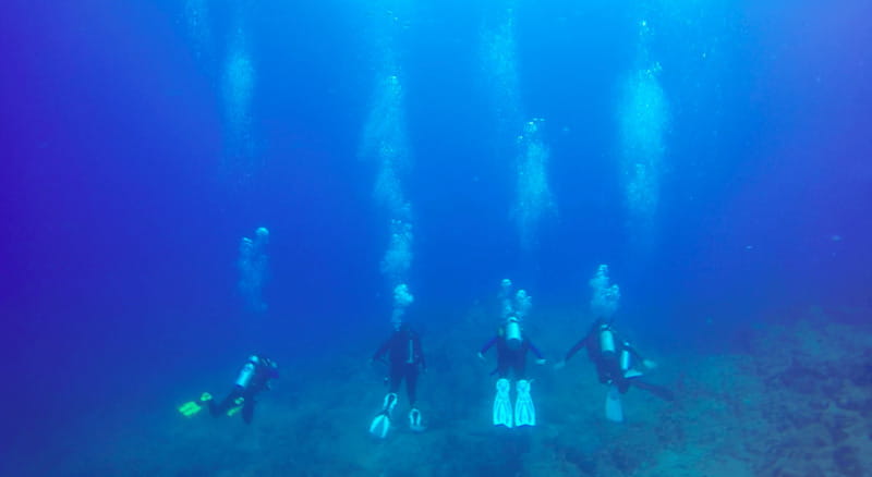 Cabo San Lucas: Beginners Diving Experience w/ Water & Snack - Practicing Basic Skills In Protected Water