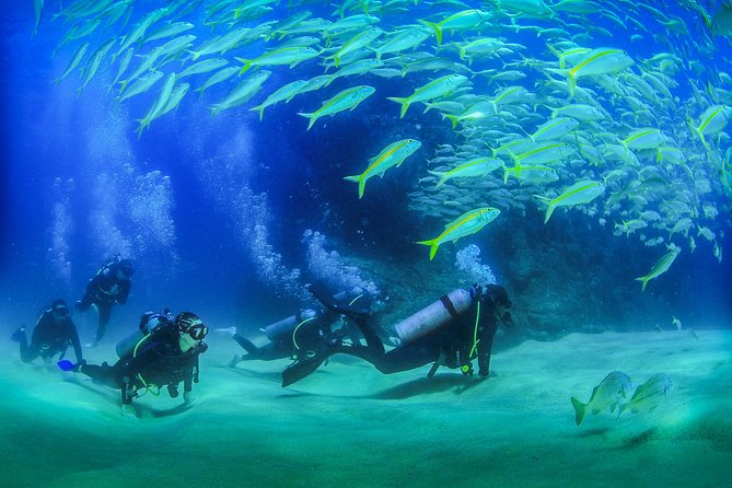 Cabo San Lucas Certified 2 Tank Dive at the Famous Arch and Land's End - Key things to know before booking