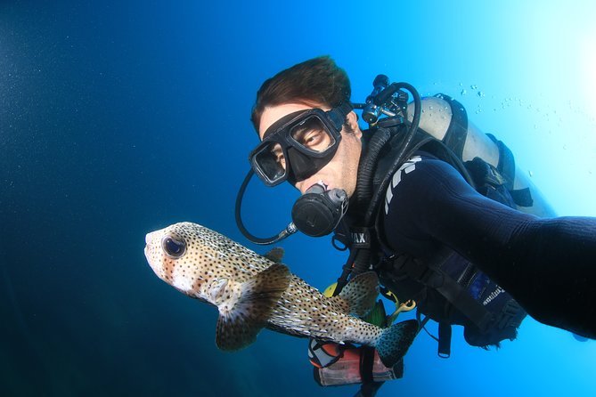 Cabo San Lucas Certified 2 Tank Dive at the Famous Arch and Land's End - Why El Arco makes a memorable starting point