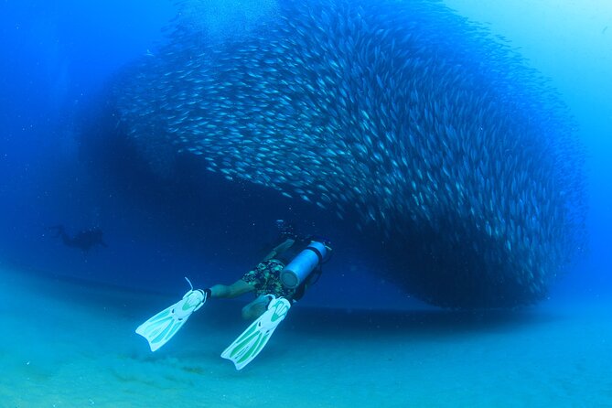 Cabo San Lucas Certified 2 Tank Dive at the Famous Arch and Land's End - Pickup from San Jose del Cabo and timing