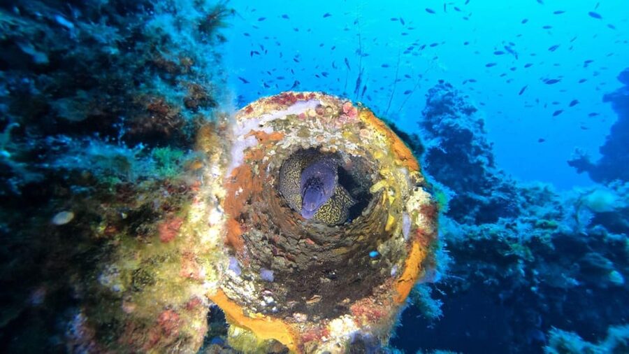 Cagliari: Discover scuba diving for Beginners - Starting at the diving center near Calamosca