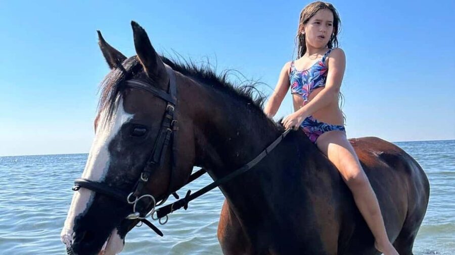 Cagliari: horseback riding with sunrise dive - Key points at a glance