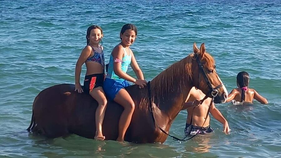Cagliari: horseback riding with sunrise dive - Guidance for first-time riders