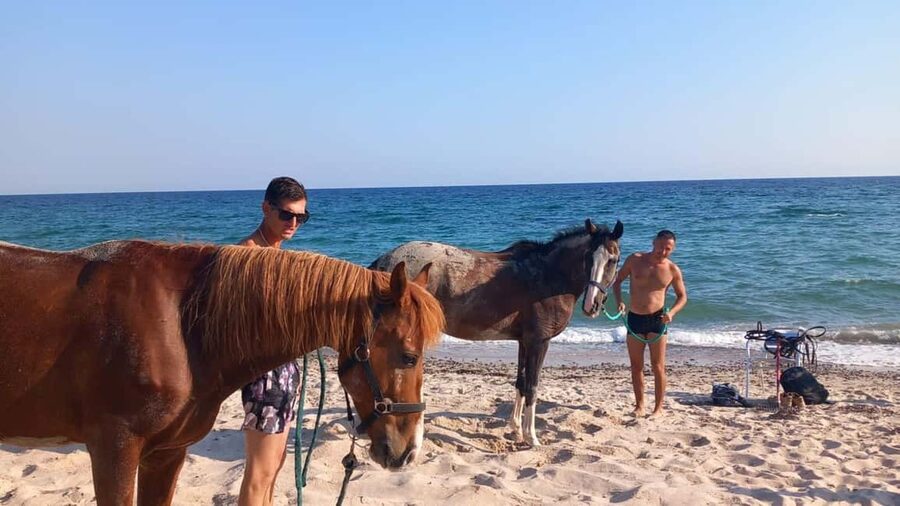 Cagliari: horseback riding with sunrise dive - Riding along Flumini shoreline