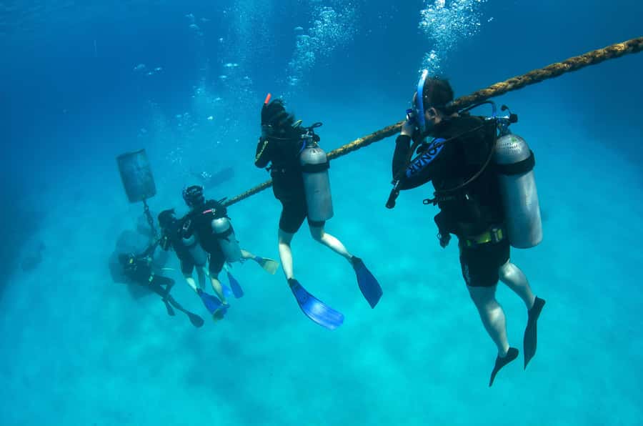 Cairns: 4-Day PADI Open Water Course - Should you book the Divers Den four-day course?