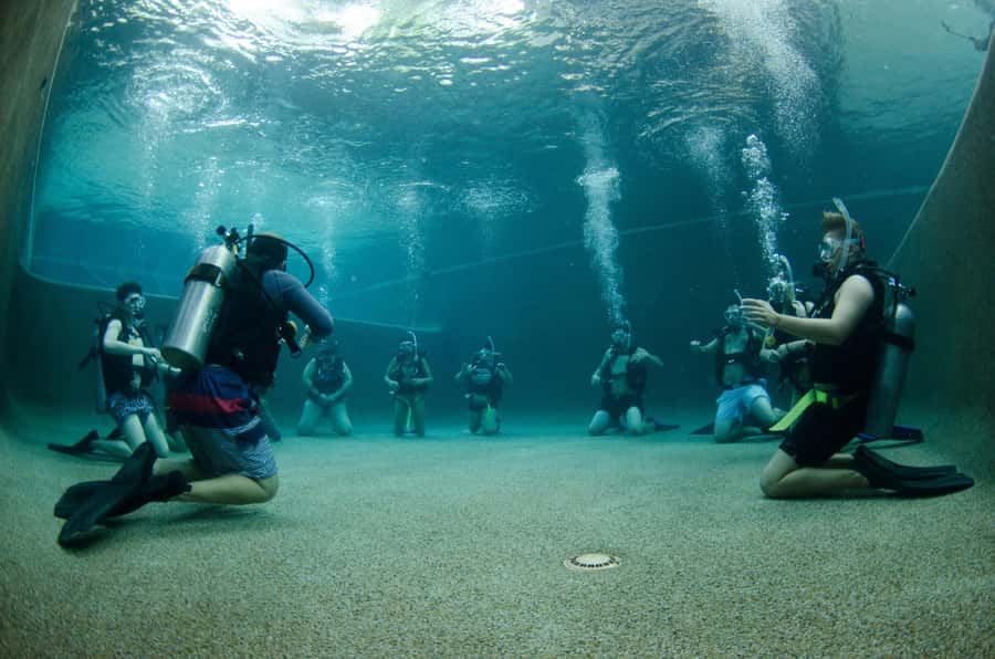 Cairns: 4-Day PADI Open Water Course - Day 1: paperwork, theory, and your first pool skills