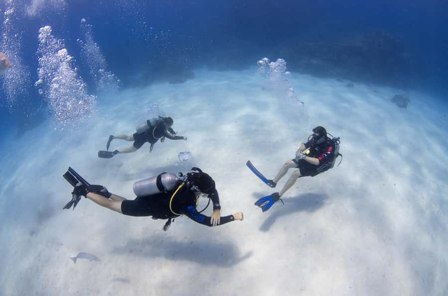 Cairns: 4-Day PADI Open Water Course - What you may see beneath the surface
