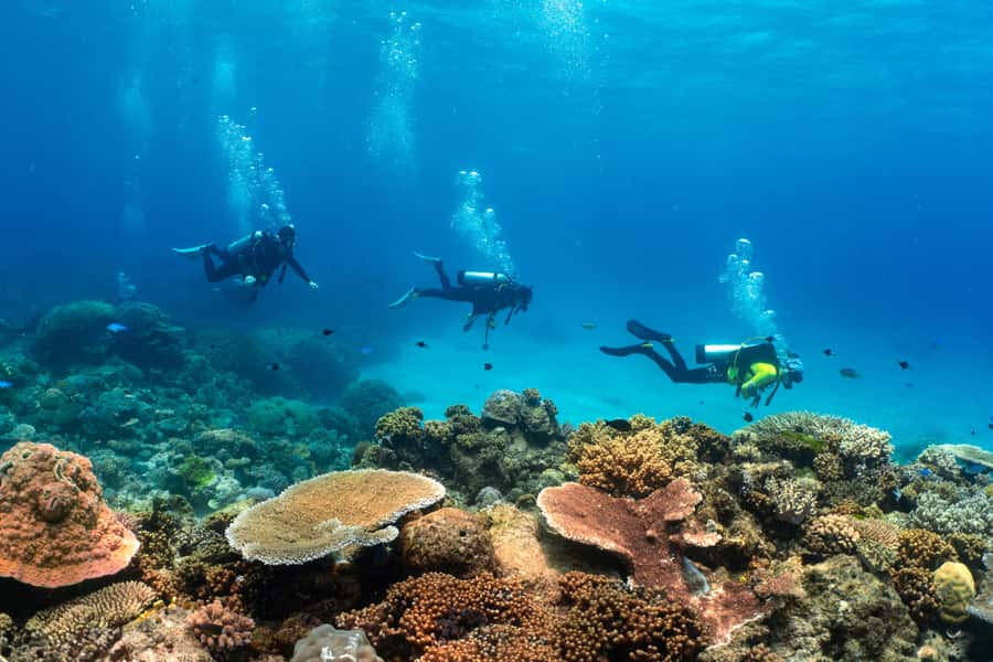 Cairns: 4-Day PADI Open Water Course - The instructors and the value of a small group