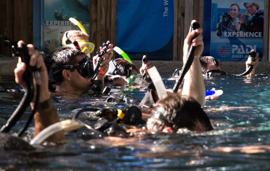 Cairns: 4-Day PADI Open Water Course - Practical preparation for four easier days