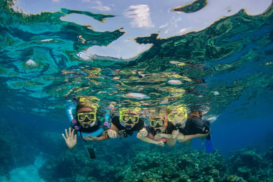 Cairns: Best Value All-inclusive Reef Trip With Scuba Dive - Key points to know before booking