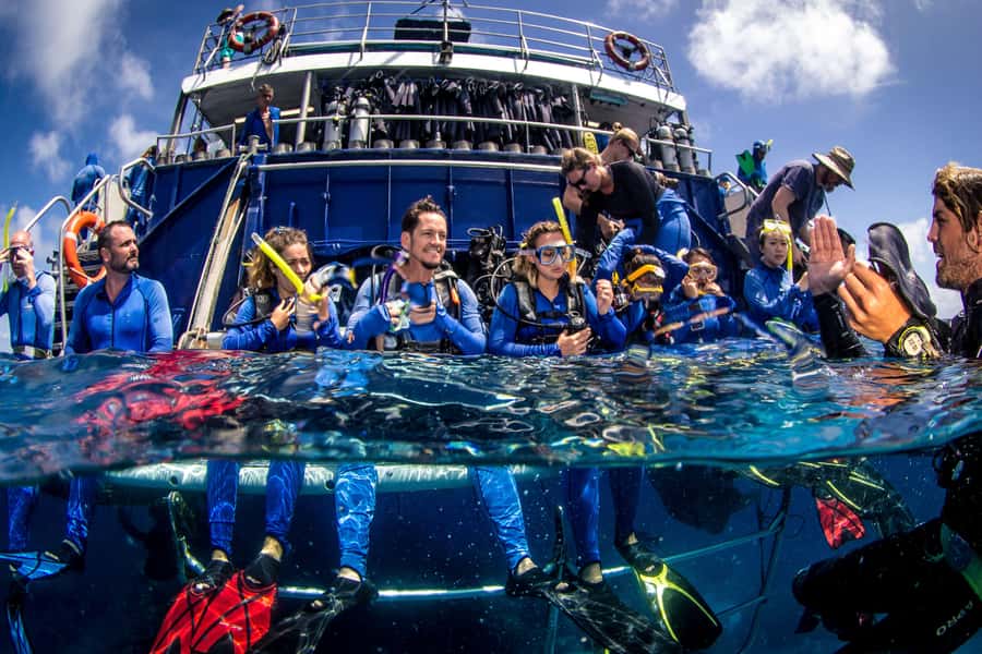 Cairns: Best Value All-inclusive Reef Trip With Scuba Dive - Breakfast with a marine biologist