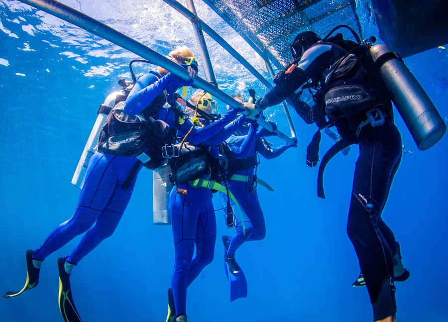 Cairns: Best Value All-inclusive Reef Trip With Scuba Dive - Snorkelling conditions and equipment