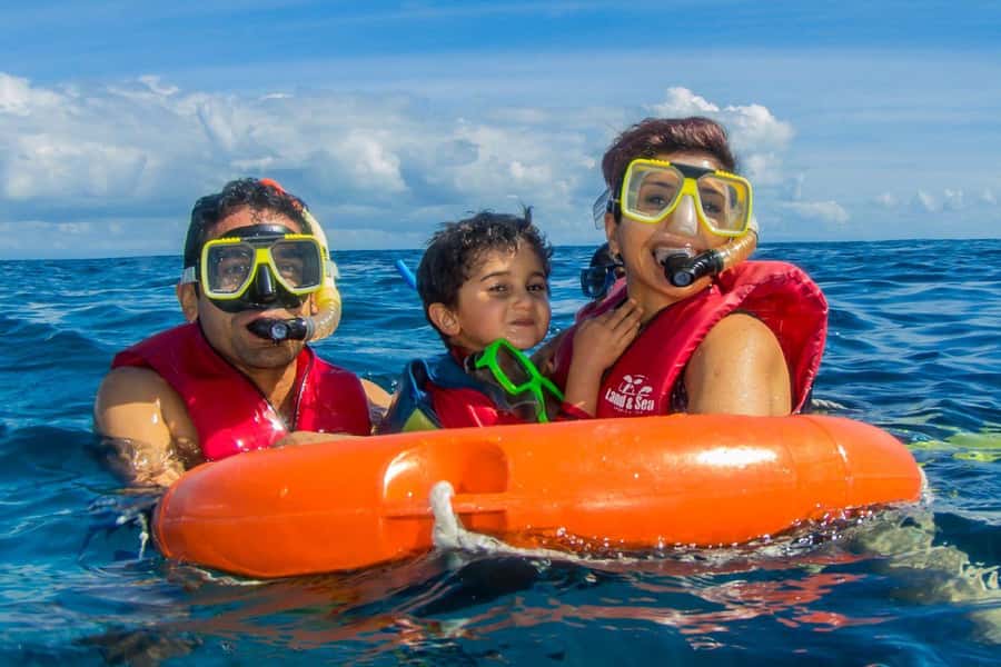 Cairns: Best Value All-inclusive Reef Trip With Scuba Dive - Scuba instruction for beginners and certified participants