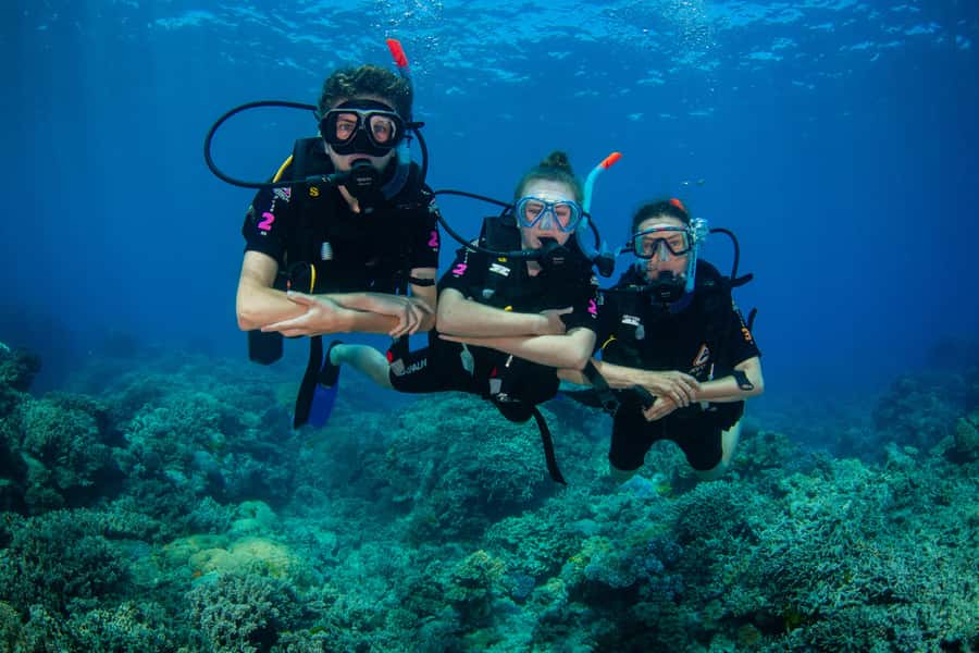 Cairns: Best Value All-inclusive Reef Trip With Scuba Dive - The return trip, wine, cheese, and practical comfort