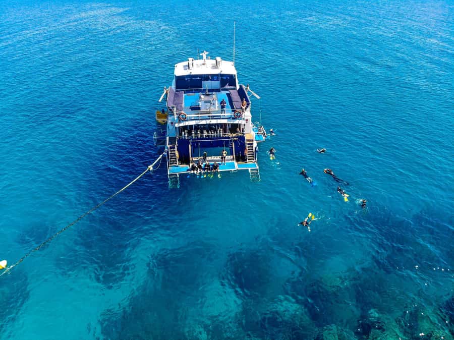 Cairns: Best Value All-inclusive Reef Trip With Scuba Dive - Who should book this reef trip?