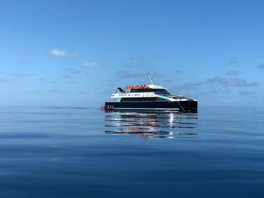 Cairns: Great Barrier Reef Premium Diving Full Day Tour - The five details that matter most