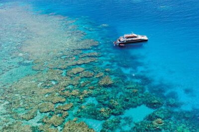 Cairns: Great Barrier Reef Premium Diving Full Day Tour