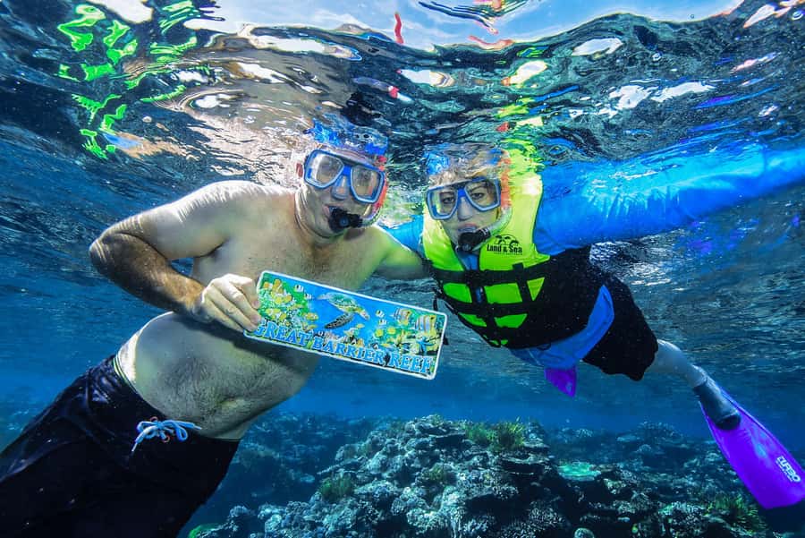 Cairns: Great Barrier Reef Premium Diving Full Day Tour - Optional scuba for first-timers and certified swimmers