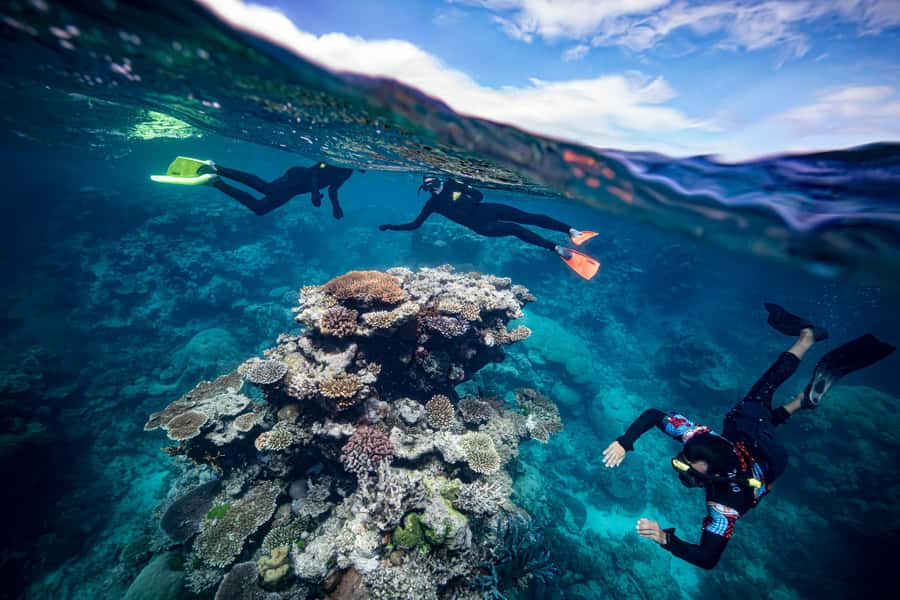 Cairns: Great Barrier Reef Premium Diving Full Day Tour - The Indigenous stories add meaning to the reef