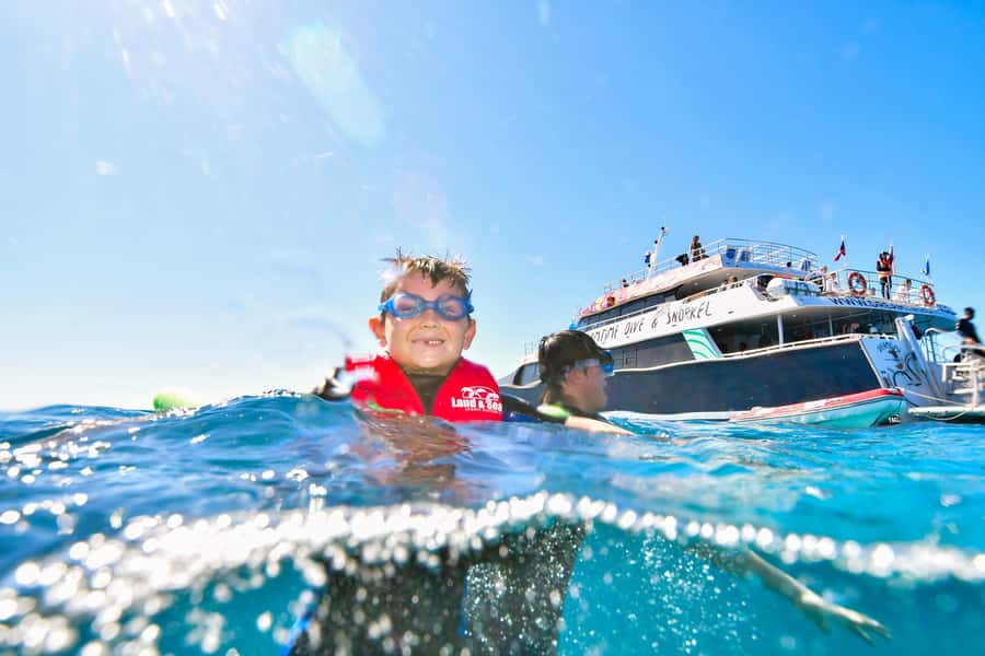 Cairns: Great Barrier Reef Premium Diving Full Day Tour - Lunch, tea, and the practical side of a long day