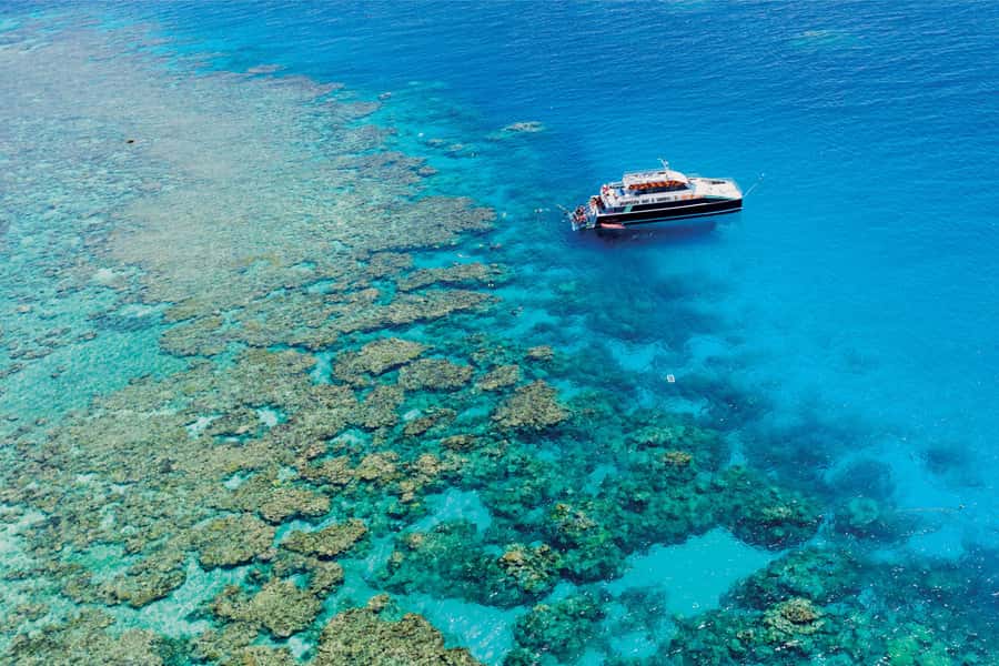 Cairns: Great Barrier Reef Premium Diving Full Day Tour - Why two reef sites are better than one