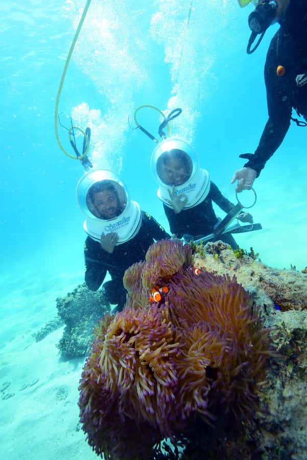 Cairns: Green Island and Seawalker Helmet Dive Combo - Key points at a glance