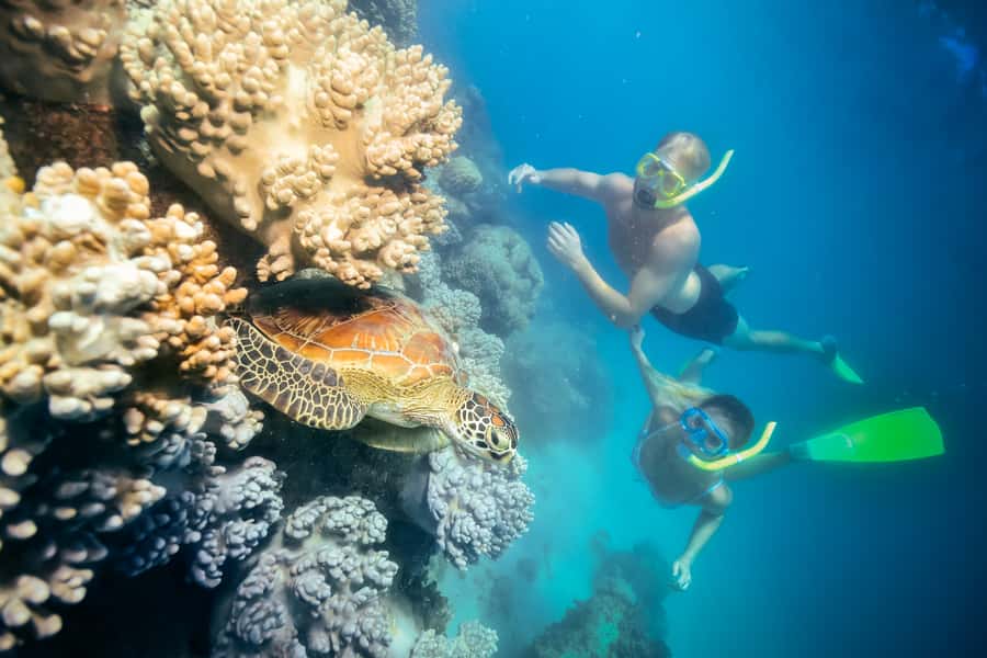 Cairns: Green Island and Seawalker Helmet Dive Combo - Should you book the Green Island Seawalker package?