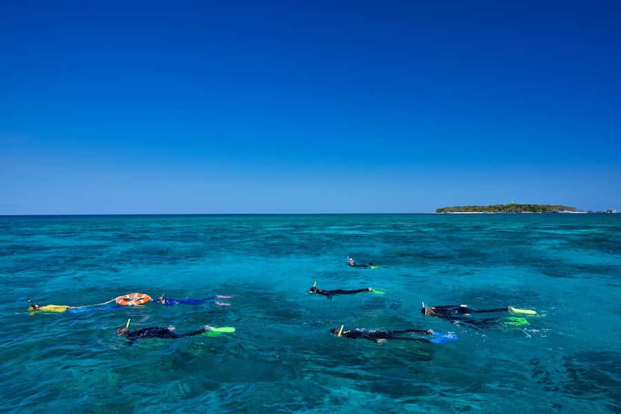 Cairns: Green Island Full-Day Tour with Diving - Key Things to Know Before You Go