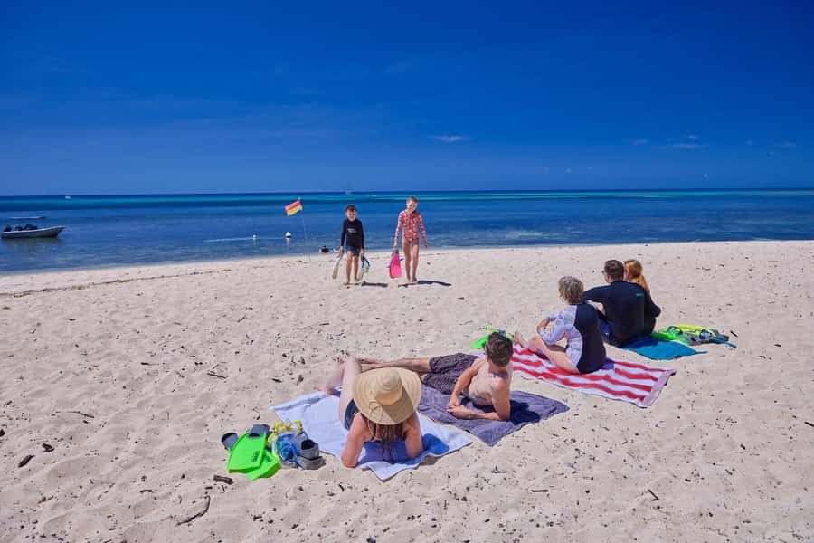 Cairns: Green Island Full-Day Tour with Diving - From Cairns to Green Island: Start With the Right Boarding Details