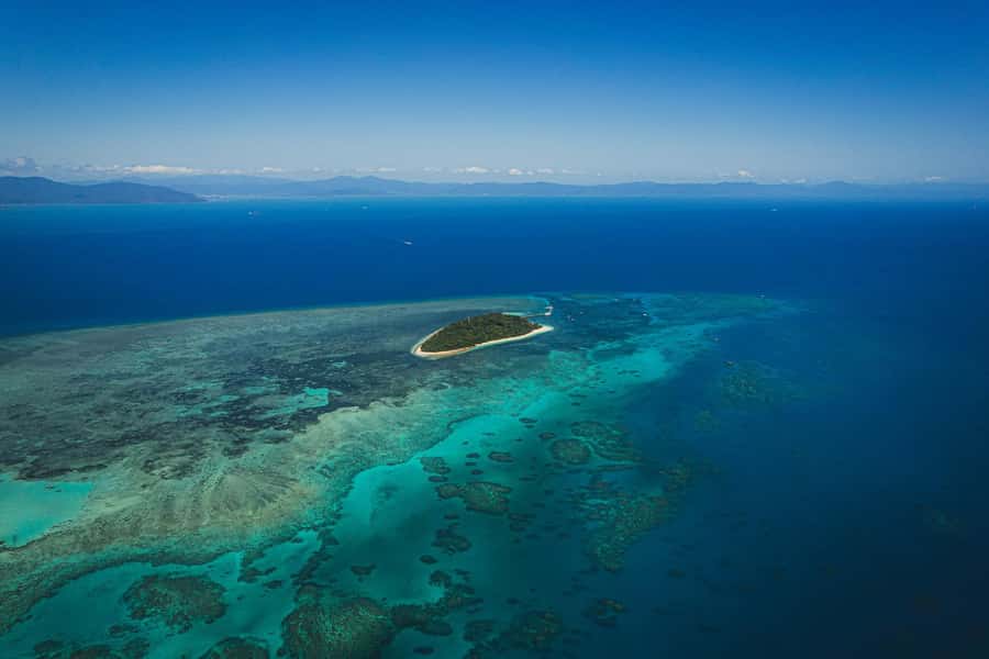 Cairns: Green Island Full-Day Tour with Diving - Buffet Lunch and Package Value