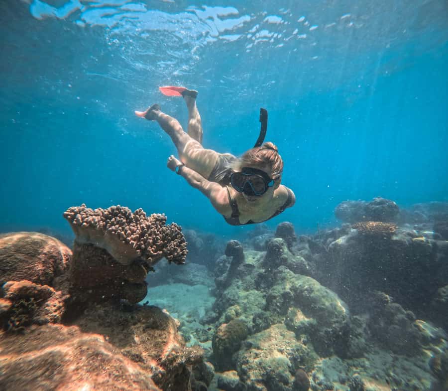 Cairns: Green Island Full-Day Tour with Diving - Practical Tips for a Better Day